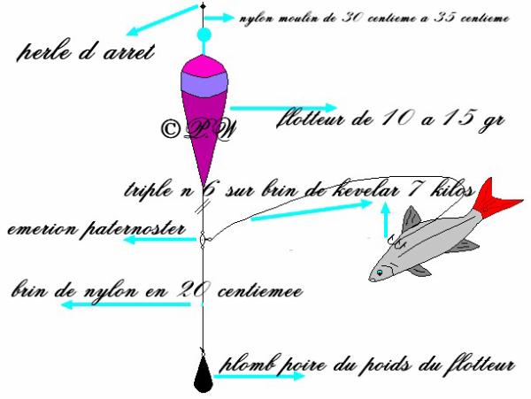 1922874263_small_1.jpg